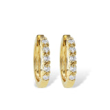 14Kt Gold Earrings