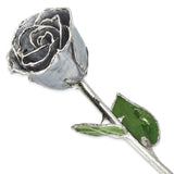 Silver Moonstone Lacquer Dipped Silver Trimmed Real Rose